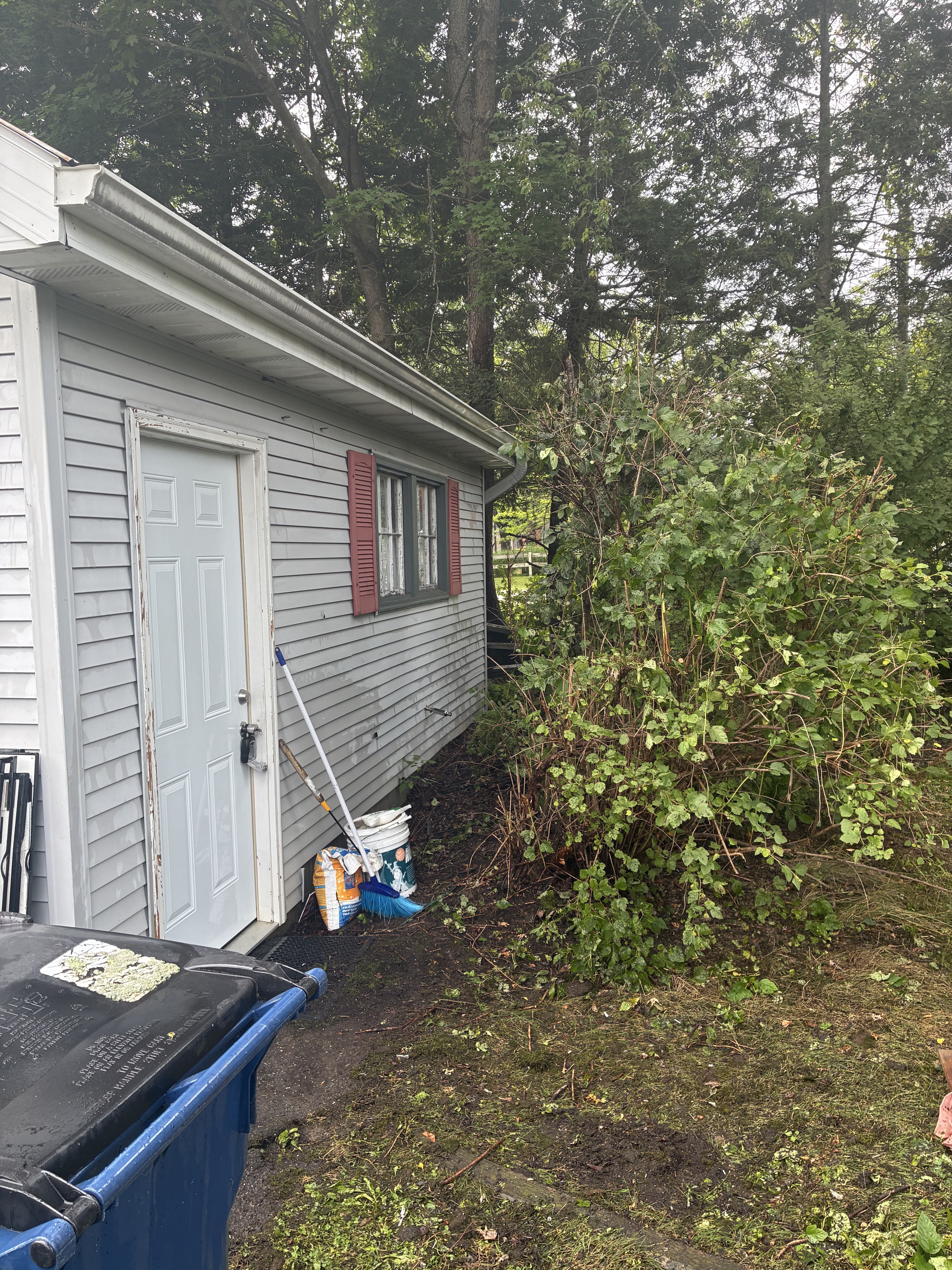 Vegetation cut back and access restored beside a garage after cleanup